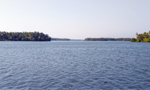 ഇന്ന് ലോക തണ്ണീർത്തട ദിനം: ജലരേഖയായി കവ്വായിക്കായൽ സംരക്ഷണം