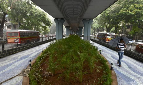 ലോകത്തിലെ മരങ്ങളുടെ നഗരമായി മുംബൈ