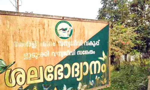 Gardening On the verge of destruction