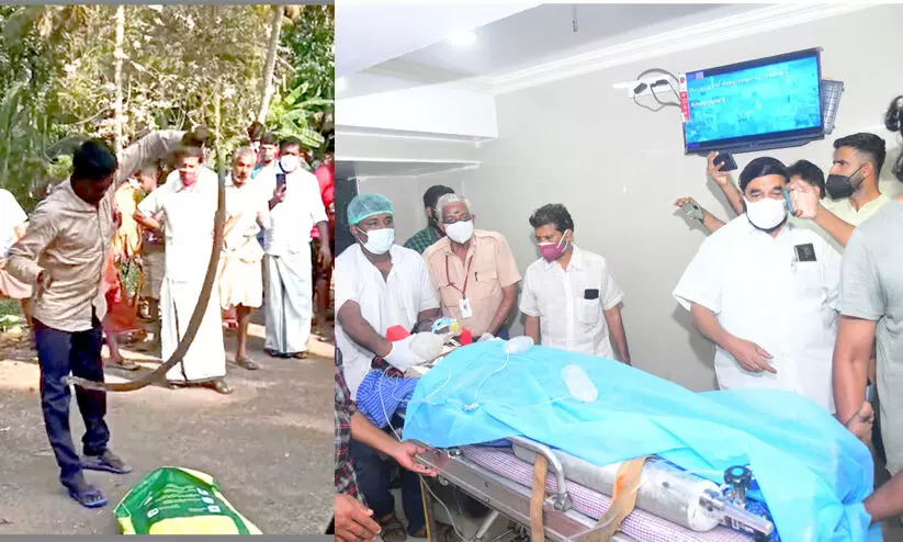 vava suresh snake bite