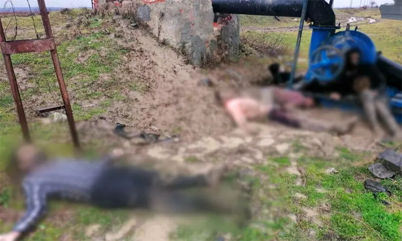 Greek border bodies Greek border bodies