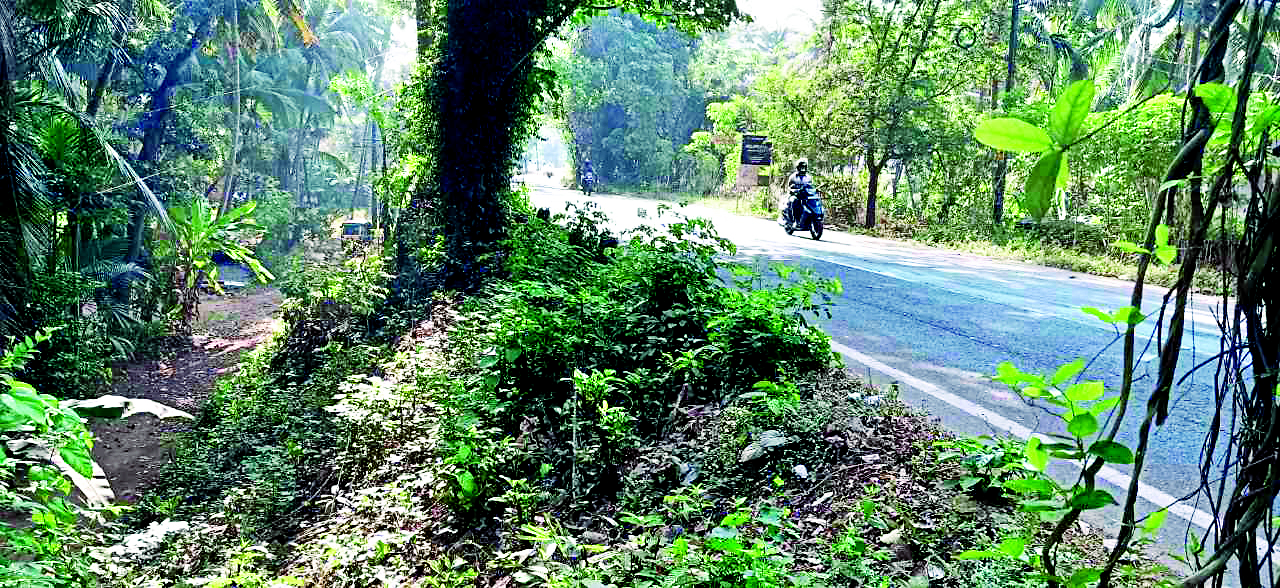 അപ്രോച്ച് റോഡിൽ സുരക്ഷ സംവിധാനങ്ങൾ ഇല്ല; കോട്ടക്കടവിൽ അപകട ഭീഷണി