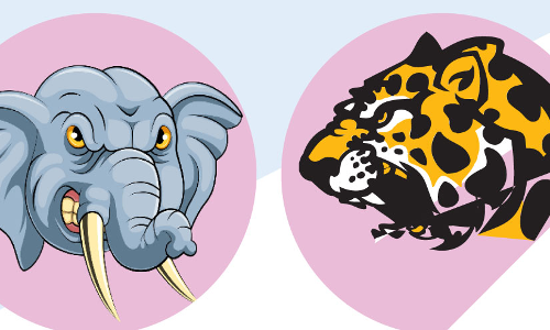 Wild elephants in Nelliyampathy and Leopard in Suryanagar