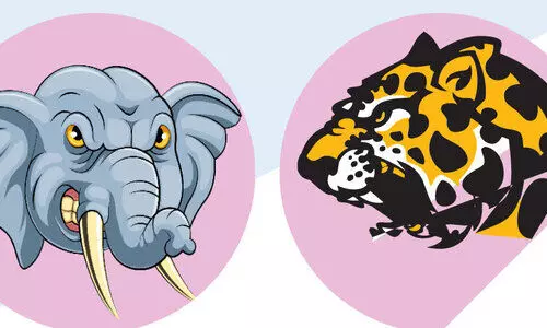 Wild elephants in Nelliyampathy and Leopard in Suryanagar