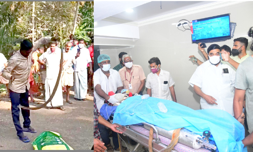 vava suresh snake bite