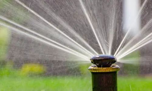 വാ​ക്​​വേ ത​ണു​പ്പി​ക്കാ​ൻ സ്​​പ്രിം​ഗ്ല​ർ സം​വി​ധാ​നം