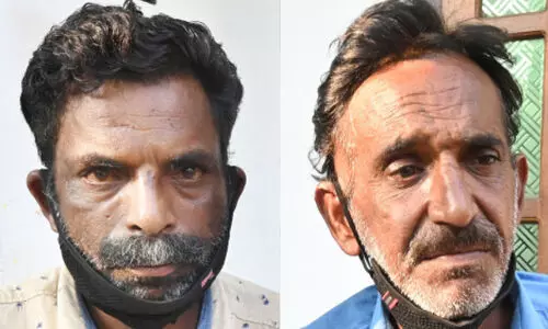 പുരയിടത്തിൽ ഒളിപ്പിച്ചിരുന്ന 33 കിലോ കഞ്ചാവ് പിടിച്ചെടുത്തു; രണ്ടുപേർ പിടിയിൽ