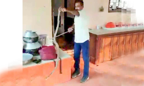 അ​ല​ക്കു​യ​ന്ത്ര​ത്തി​ലൊ​ളി​ച്ച മൂർഖൻപാമ്പിനെ പിടികൂടി