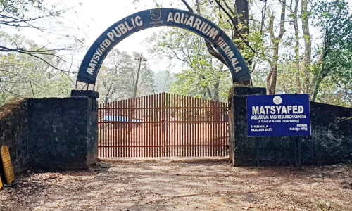 തെന്മലയിലെ അക്വേറിയം നവീകരിക്കുന്നു