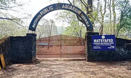 തെന്മലയിലെ അക്വേറിയം നവീകരിക്കുന്നു