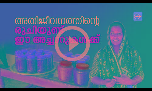 pickles, sakeena sathar