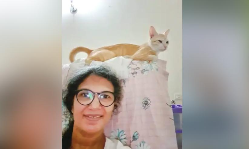 കുഞ്ഞുകുട്ടനെ തിരഞ്ഞ് കാഞ്ഞിരപ്പള്ളിക്കാർ; കിട്ടിയാൽ 5000 പോക്കറ്റിൽ