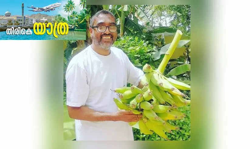 പ്ര​വാ​സി ക​ർ​ഷ​ക​ൻ ചീ​ക്ക ജ​ന്മ​നാ​ടി​​ന്‍റെ പ​ച്ച​പ്പി​ലേ​ക്ക്