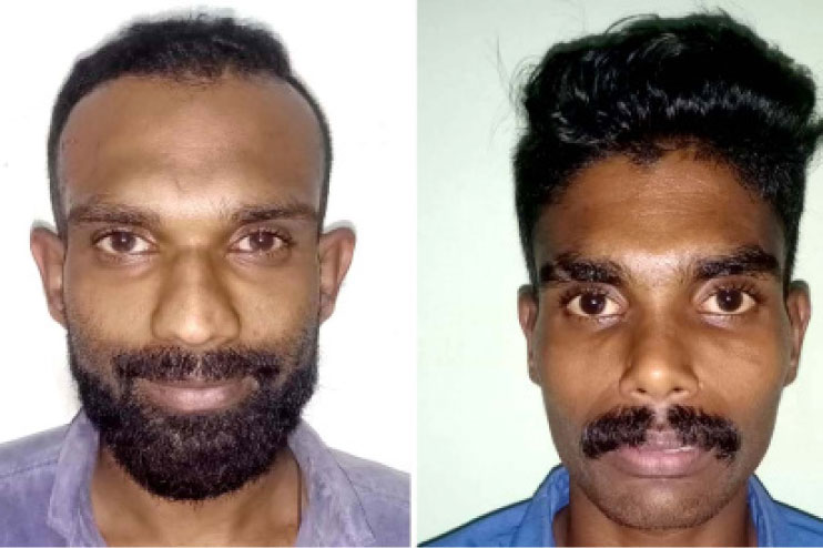 ijas, payari ijas, payari