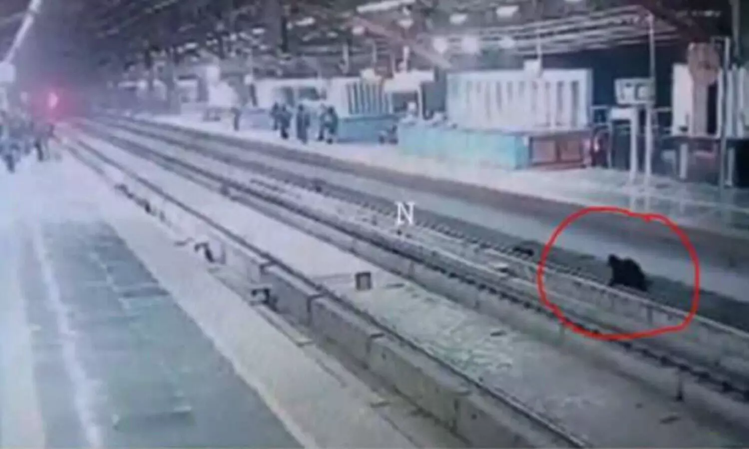 മൊബൈൽ നോക്കി നടന്നു, കാലിടറി റെയിൽവെ ട്രാക്കിൽ വീണു​; രക്ഷകരായി സി.ഐ.എസ്.എഫ് -Video