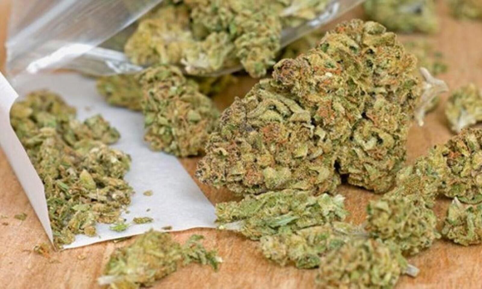 ട്രെയിൻമാർഗം കഞ്ചാവെത്തിച്ച ദമ്പതികൾ അറസ്റ്റിൽ | Couple arrested for  smuggling cannabis by train | Madhyamam