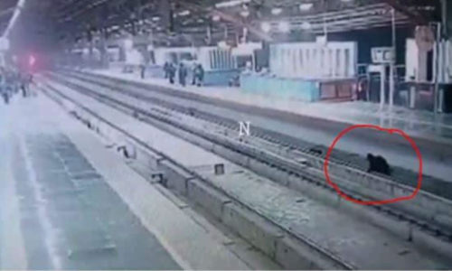 മൊബൈൽ നോക്കി നടന്നു, കാലിടറി റെയിൽവെ ട്രാക്കിൽ വീണു​; രക്ഷകരായി സി.ഐ.എസ്.എഫ് -Video