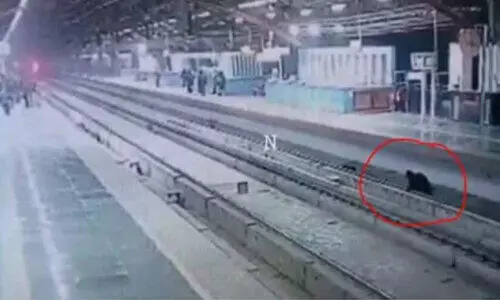 മൊബൈൽ നോക്കി നടന്നു, കാലിടറി റെയിൽവെ ട്രാക്കിൽ വീണു​; രക്ഷകരായി സി.ഐ.എസ്.എഫ് -Video