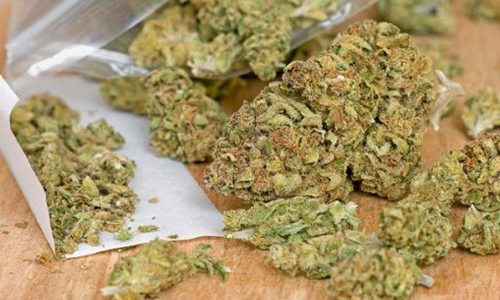 ട്രെയിൻമാർഗം കഞ്ചാവെത്തിച്ച ദമ്പതികൾ അറസ്റ്റിൽ