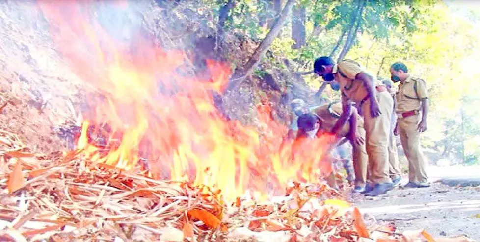 കാട്ടുതീ: പ്രതിരോധവുമായി വനംവകുപ്പ് കാട്ടുതീ: പ്രതിരോധവുമായി വനംവകുപ്പ്