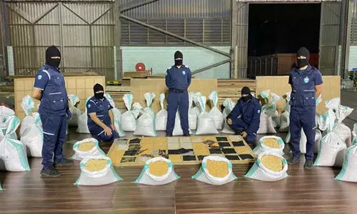 സൗദിയിലേക്ക്​ വന്ന 14 ലക്ഷത്തോളം ലഹരി ഗുളികകൾ പിടികൂടി