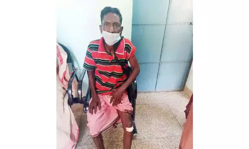 കൂരാച്ചുണ്ട് ടൗണിൽ കാട്ടുപന്നിയുടെ മിന്നലാക്രമണം; ഒരാൾക്ക് പരിക്ക്