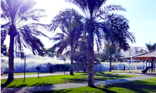 സ​ന്ദ​ർ​ശ​ക​രെ ആ​ക​ർ​ഷി​ച്ച് ഇ​ൗസ ടൗ​ൺ ന​ട​പ്പാ​ത