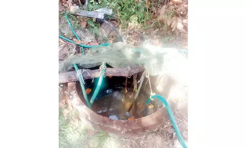 പൊതുകിണറില്‍ വിഷം കലര്‍ത്തിയതായി സംശയം