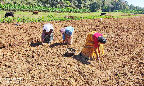 ഫ്ലാ​റ്റി​ലി​രു​ന്ന് വ​യ​നാ​ട്ടി​ലെ കൃ​ഷി​യി​ൽ പ​ങ്കാ​ളി​യാ​കാം