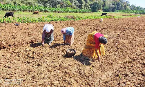 ഫ്ലാ​റ്റി​ലി​രു​ന്ന് വ​യ​നാ​ട്ടി​ലെ കൃ​ഷി​യി​ൽ പ​ങ്കാ​ളി​യാ​കാം