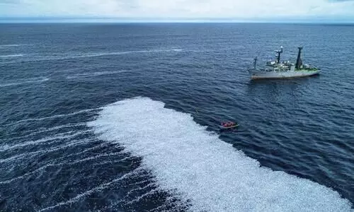 France after giant trawler sheds 100000 dead fish off coast France after giant trawler sheds 100000 dead fish off coast