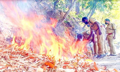 കാട്ടുതീ: പ്രതിരോധവുമായി വനംവകുപ്പ്