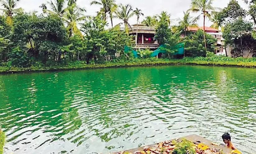 നിലനിൽക്കുമോ പാതയോരത്തെ ജലസമൃദ്ധി ? നിലനിൽക്കുമോ പാതയോരത്തെ ജലസമൃദ്ധി ?