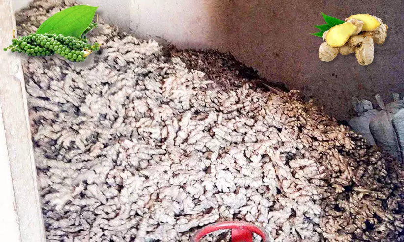 കർഷകരെ രക്ഷിക്കാൻ ആരുണ്ടിവിടെ... കർഷകരെ രക്ഷിക്കാൻ ആരുണ്ടിവിടെ...