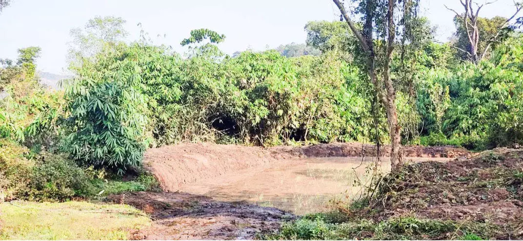 Summer heat: Forest Department prepares water for animals in the forest Summer heat: Forest Department prepares water for animals in the forest