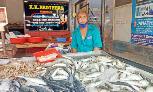 ഇമ്പമാർന്ന മാപ്പിളപ്പാട്ട് കേൾക്കാം; പിടക്കുന്ന മീനും വാങ്ങാം