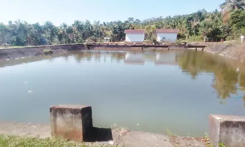 നീന്തിവളർന്ന താരങ്ങൾ ഏറെ; എന്നിട്ടും കടമാൻ ചിറയ്ക്ക് ദുരവസ്ഥ