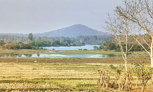 ബീച്ചനഹള്ളി ഡാമിൽ ജലസംഭരണം തുടങ്ങി; കബനി നദി ജലസമൃദ്ധം