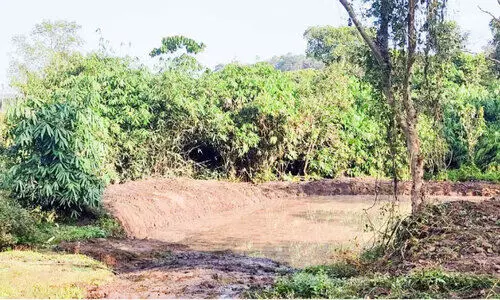 Summer heat: Forest Department prepares water for animals in the forest