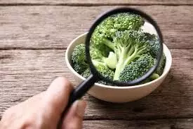 ഭക്ഷ്യയോഗ്യമല്ലാത്ത ഭക്ഷണം​: ഫു​ഡ് ആ​ൻ​ഡ് സേ​ഫ്റ്റി ഓ​ഫി​സ​ർ വി​ചാ​ര​ണ​ക്ക് ഹാ​ജ​രാ​കു​ന്നി​ല്ല; കേ​സു​ക​ൾ വെ​റു​തെ വി​ടു​ന്നു