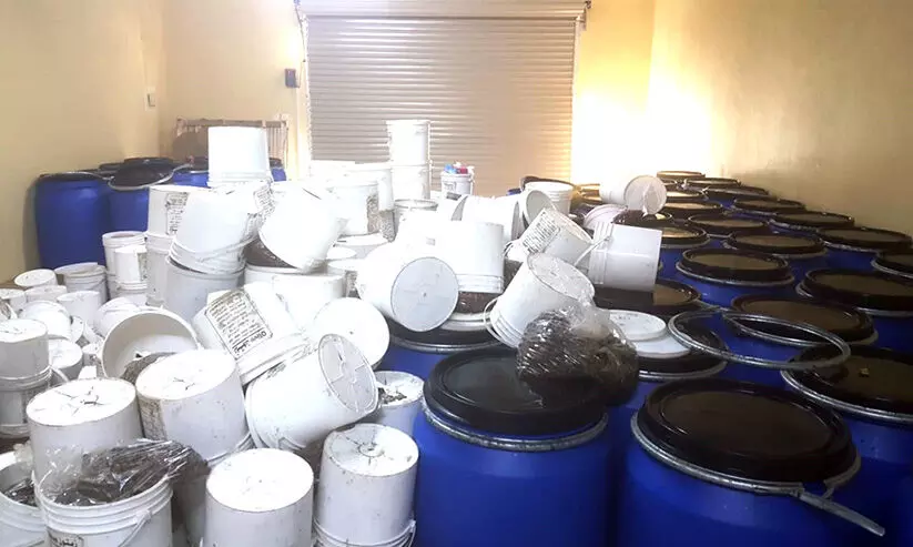 ഭക്ഷ്യയോഗ്യമല്ലാത്ത ഒലിവ്​ പിടികൂടി