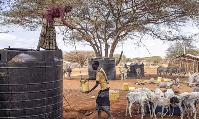 africa 82222 africa 82222