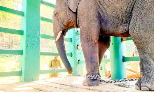 Kunkiyana was transferred to a training center