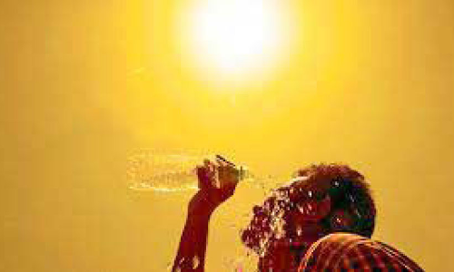 വേ​ന​ൽ: മലയോര മേഖലകളിൽ രോഗങ്ങൾ വ്യാപിക്കുന്നു