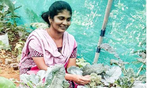 During the lockdown Manju earn 50 lakhs in vegetable