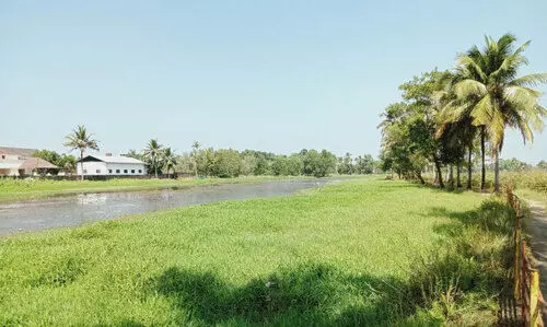 Kadambrayar river