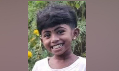 athirappilly death wild elephant