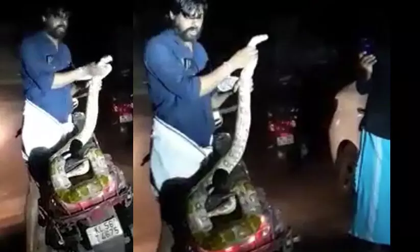 മോനേ നീ കള്ള് കുടിക്കാൻ വരുന്നോ? യുവാവിന്റെ പാമ്പ് മോനെ കണ്ട് ഞെട്ടി നാട്ടുകാർ -VIDEO മോനേ നീ കള്ള് കുടിക്കാൻ വരുന്നോ? യുവാവിന്റെ പാമ്പ് മോനെ കണ്ട് ഞെട്ടി നാട്ടുകാർ -VIDEO