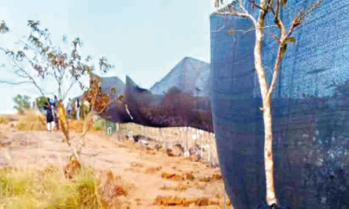 പാലക്കയം തട്ടിൽ ലൈറ്റുകൾ മറച്ചതിൽ വ്യാപക പ്രതിഷേധം