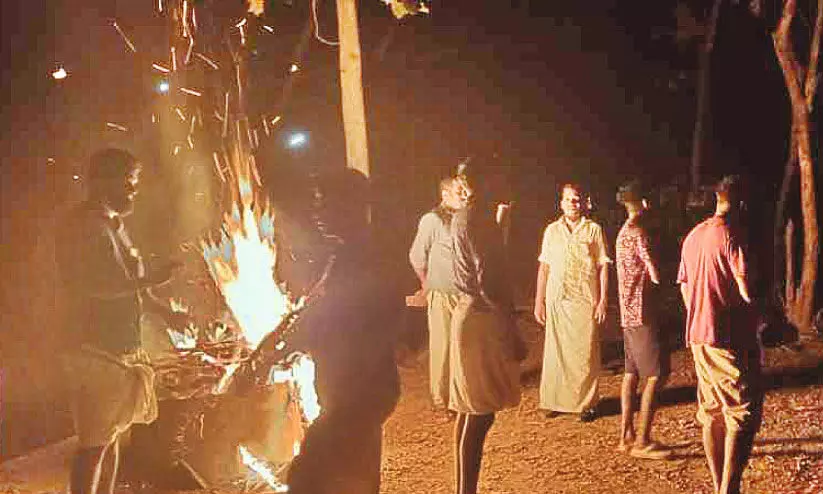 കാ​ട്ടാ​ന​ക​ളെ അ​ക​റ്റാ​ൻ അ​തി​ര​പ്പി​ള്ളി​യി​ൽ ജ​ന​കീ​യ പ​ട്രോ​ളി​ങ്